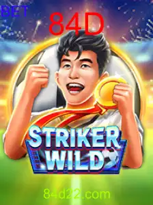 StrikerWILD: Uma Aventura Inesquecível em 84D